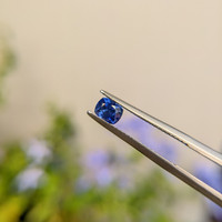 0.69 Ct. Blue Sapphire from Ceylon (Sri Lanka) Life Style