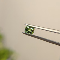 0.88 Ct. Green Sapphire from Madagascar Life Style