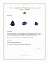 2.77 Ct. Blue Sapphire from Ceylon (Sri Lanka) Appraisal
