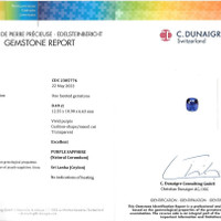 Jewelry Scan Report