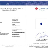 3.01 Ct. Blue Sapphire from Ceylon (Sri Lanka) Scan Report