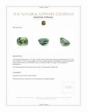 1.01 Ct. Bluish Green Sapphire from Madagascar Appraisal