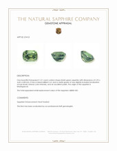 1.01 Ct. Bluish Green Sapphire from Madagascar Appraisal