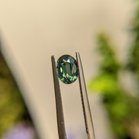 1.07 Ct. Sapphire from Madagascar Life Style