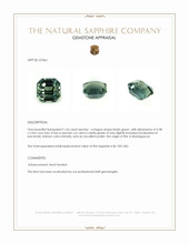 Jewelry Appraisal