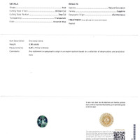 Jewelry Scan Report