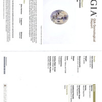 Jewelry Scan Report