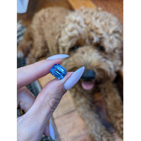 6.67 Ct. Blue Sapphire from Ceylon (Sri Lanka) Life Style