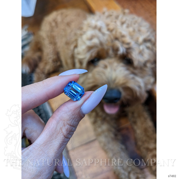 6.67 Ct. Blue Sapphire from Ceylon (Sri Lanka)