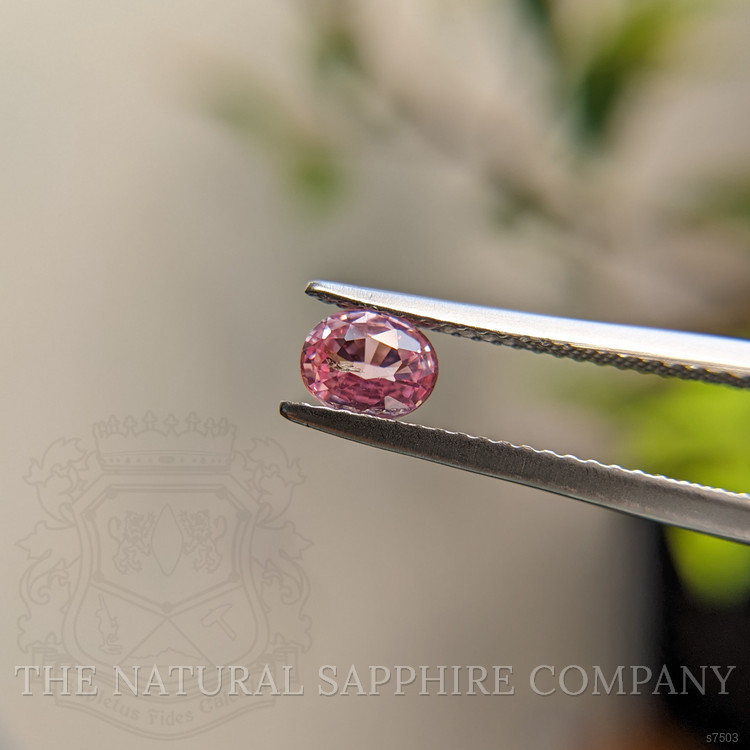 0.60 Ct. Pink Sapphire from Madagascar