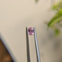 0.61 Ct. Purplish Pink Sapphire from Madagascar Life Style