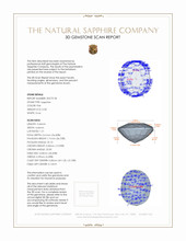 Jewelry 3 D Scan Report