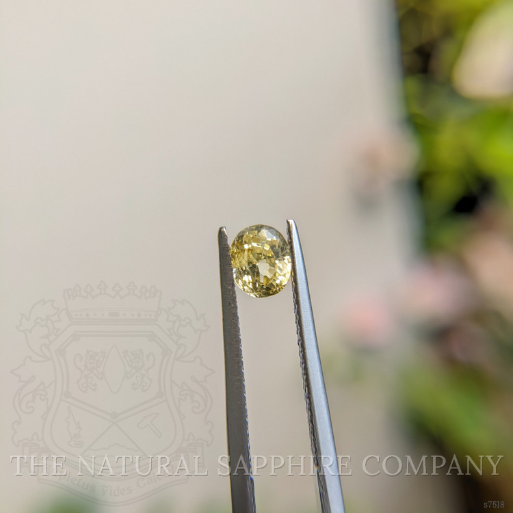 1.01 Ct. Yellow Sapphire from Madagascar