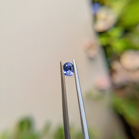 0.53 Ct. Blue Sapphire from Madagascar Life Style