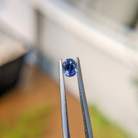 0.51 Ct. Blue Sapphire from Madagascar Life Style