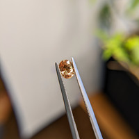 0.76 Ct. Yellowish Brown Sapphire from Madagascar Life Style