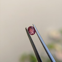 0.44 Ct. Pink Sapphire from Madagascar Life Style