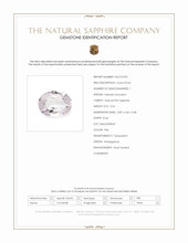 Jewelry Scan Report