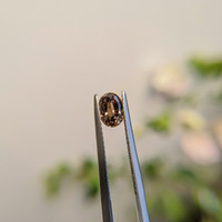 0.91 Ct. Greenish Brown Sapphire from Madagascar Life Style