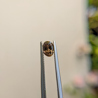 0.90 Ct. Brown Sapphire from Madagascar Life Style