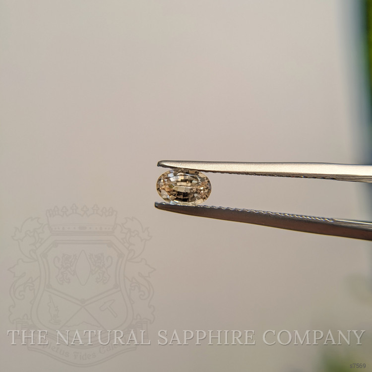 0.61 Ct. Brown Sapphire from Madagascar