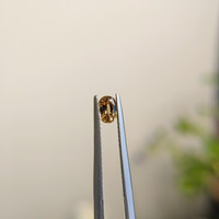 0.44 Ct. Orangish Brown Sapphire from Madagascar Life Style