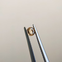 0.30 Ct. Brown Sapphire from Madagascar Life Style