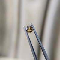 0.39 Ct. Greenish Brown Sapphire from Madagascar Life Style