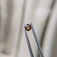 0.44 Ct. Brown Sapphire from Madagascar Life Style