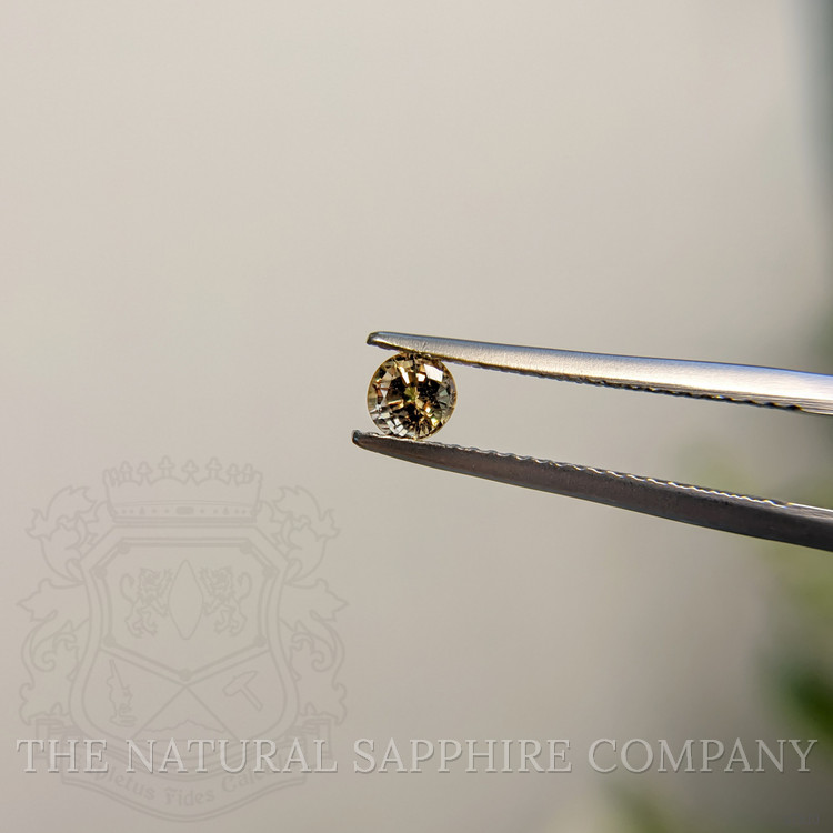 0.43 Ct. Greenish Brown Sapphire from Madagascar
