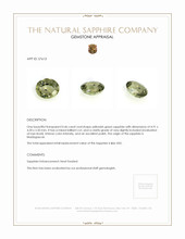 0.46 Ct. Yellowish Green Sapphire from Madagascar Appraisal
