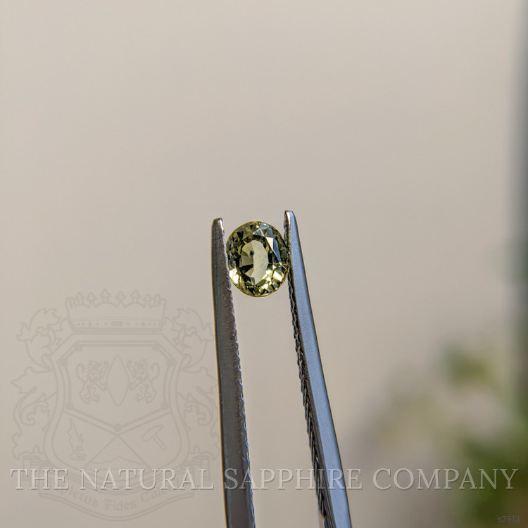 0.46 Ct. Yellowish Green Sapphire from Madagascar