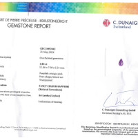 Jewelry Scan Report