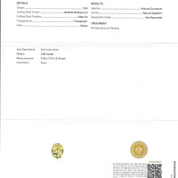 Jewelry Scan Report