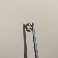 0.50 Ct. Greenish Brown Sapphire from Madagascar Life Style