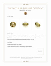 0.46 Ct. Greenish Brown Sapphire from Madagascar Appraisal