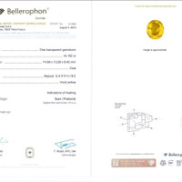Jewelry Scan Report