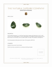 Jewelry Appraisal