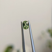 0.68 Ct. Sapphire from Madagascar Life Style