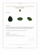 Jewelry Appraisal