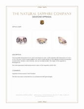 Jewelry Appraisal