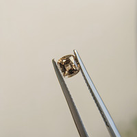0.61 Ct. Orangish Brown Sapphire from Madagascar Life Style