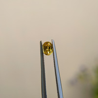 0.41 Ct. Yellow Sapphire from Madagascar Life Style