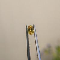 0.64 Ct. Sapphire from Madagascar Life Style