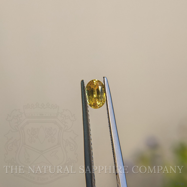 0.64 Ct. Yellow Sapphire from Madagascar