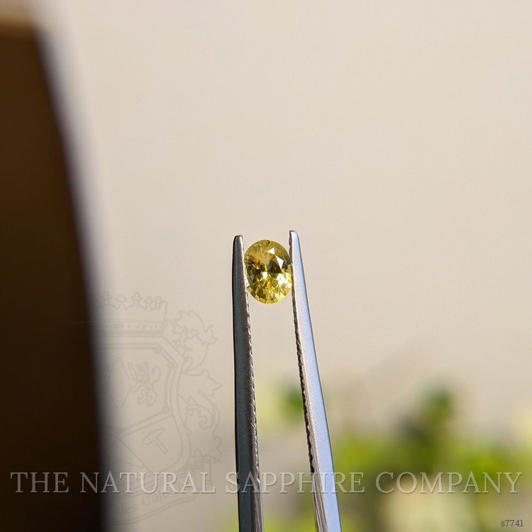 0.46 Ct. Yellow Sapphire from Madagascar