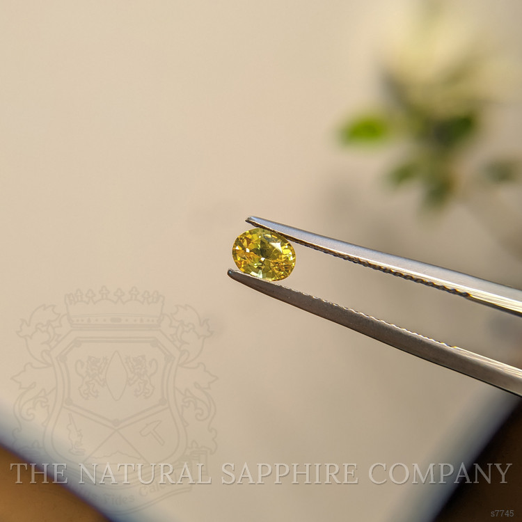 0.62 Ct. Yellow Sapphire from Madagascar