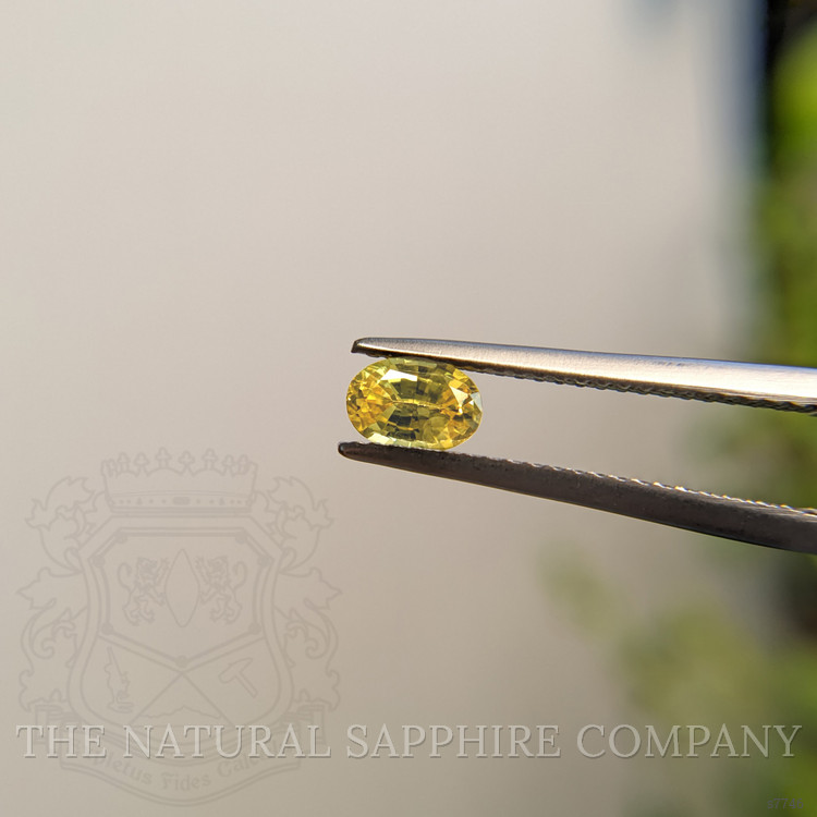 0.55 Ct. Yellow Sapphire from Madagascar