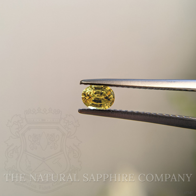 0.40 Ct. Yellow Sapphire from Madagascar