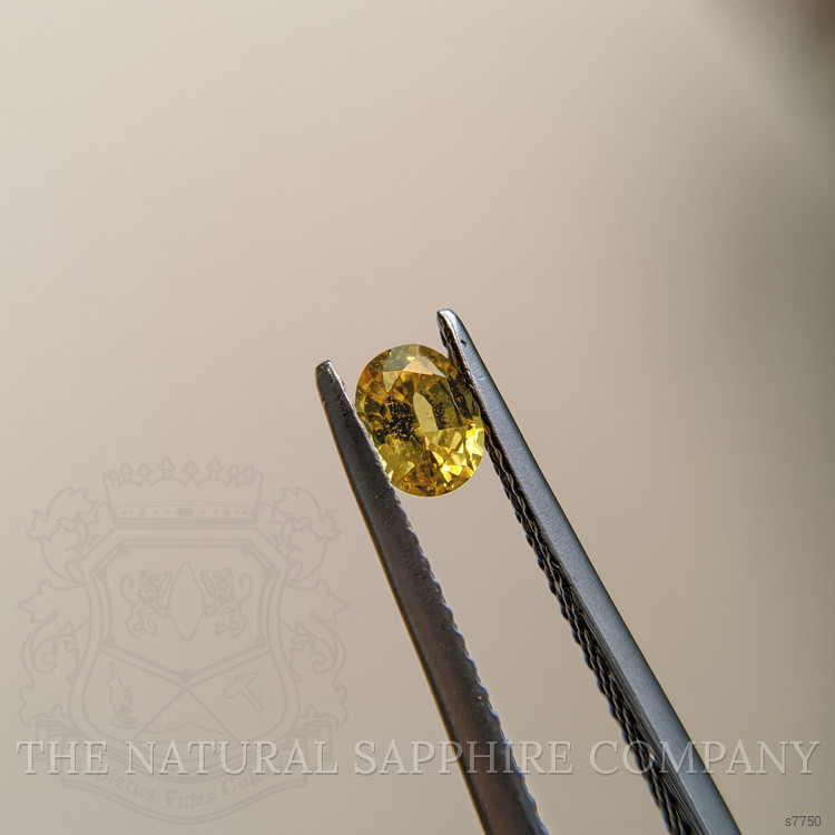 0.46 Ct. Yellow Sapphire from Madagascar